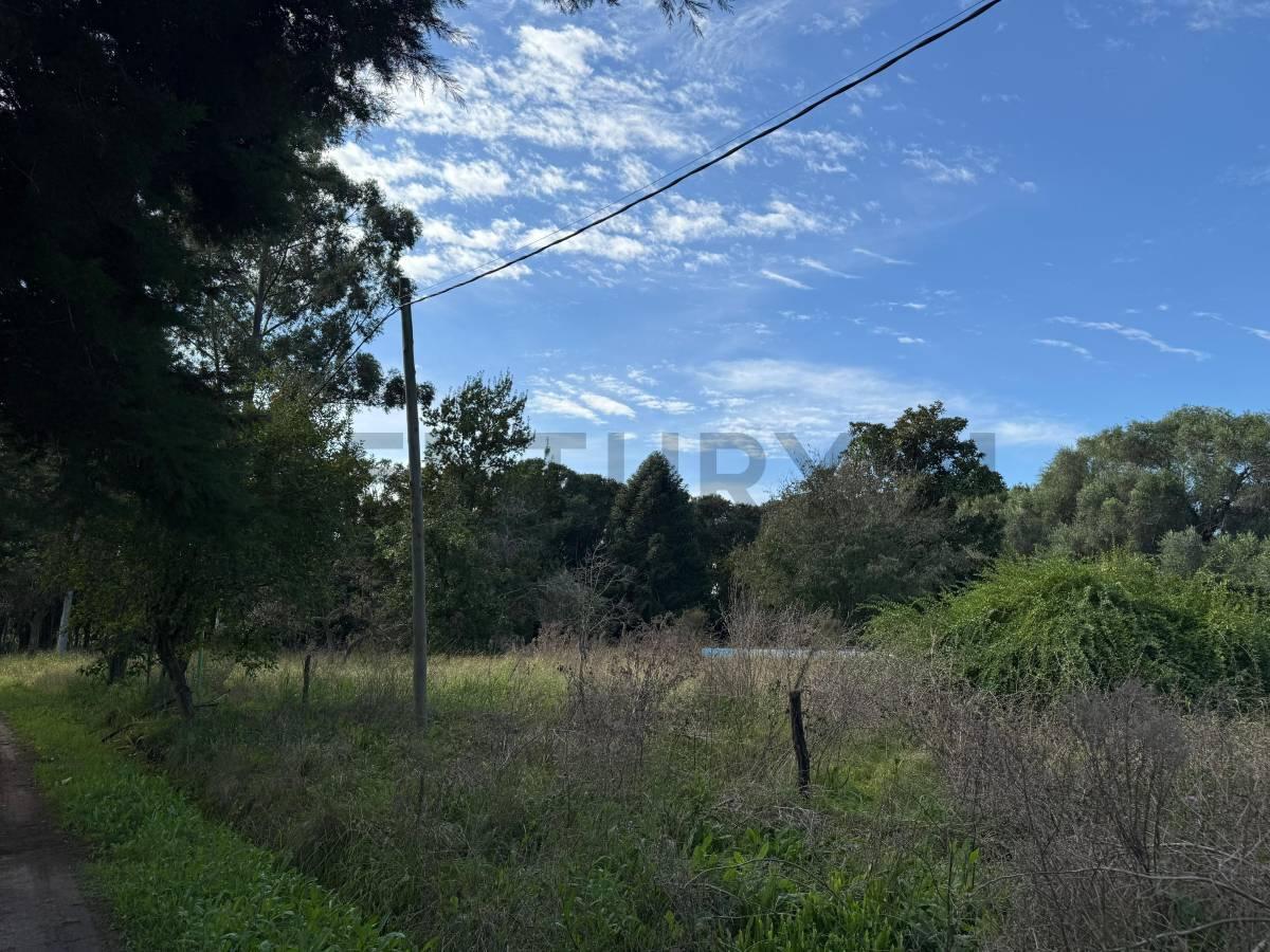 602 y 11 bis Lote en venta, La Plata — foto 1