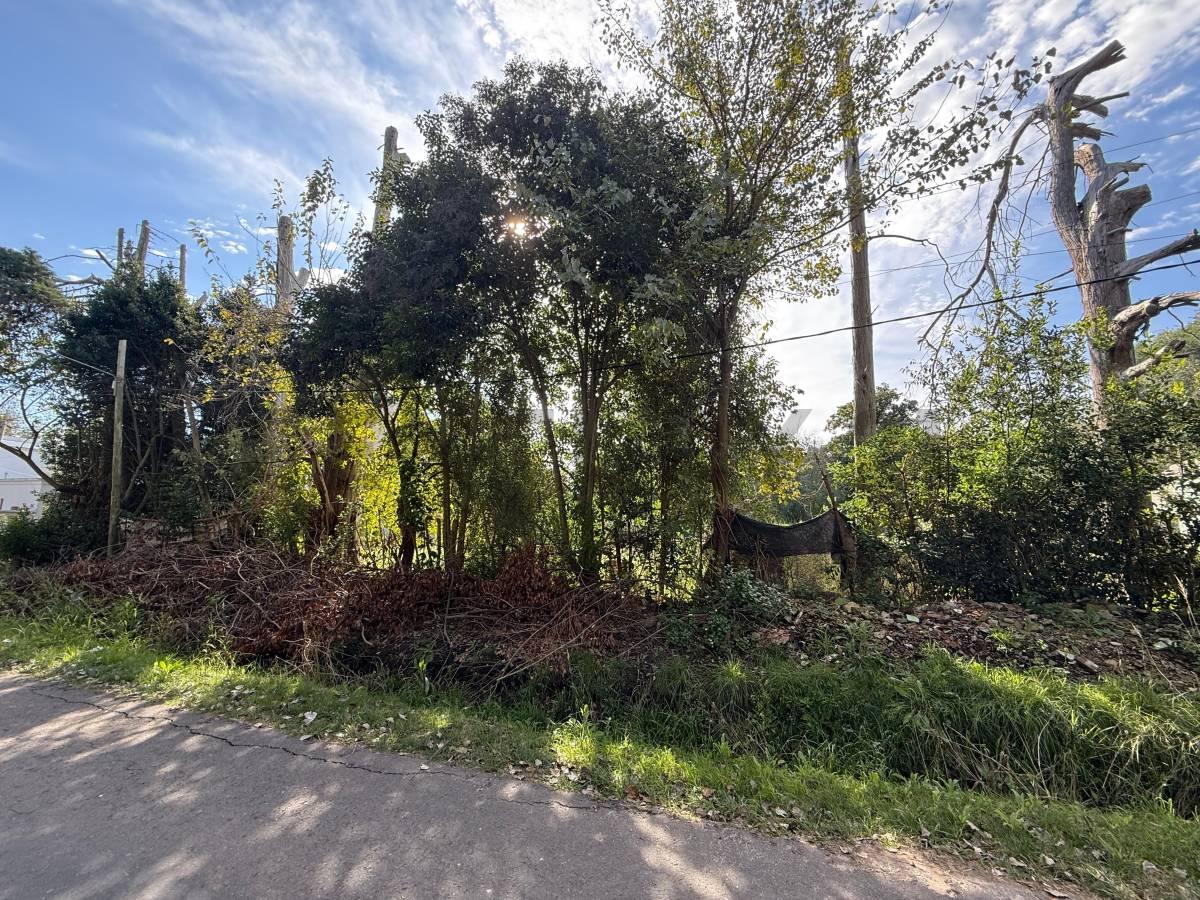 11 BIS Y 602 -Lote en venta La Plata Sicardi — foto 1