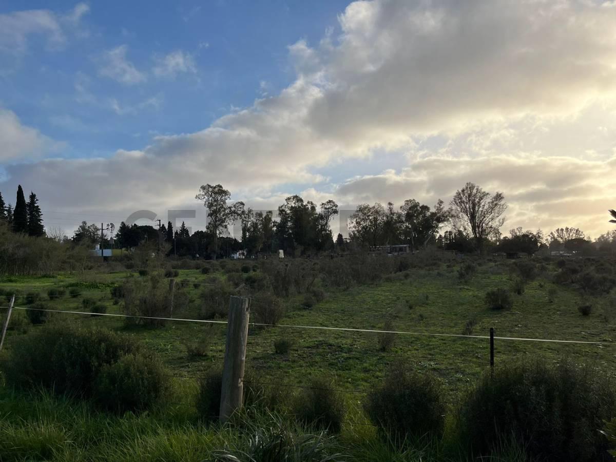 LOTE TERRENO EN VENTA EN VILLA ELISA — foto 1