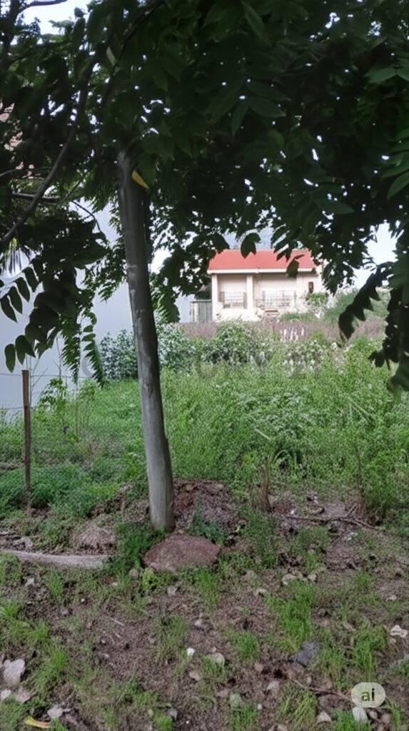 Lote en venta en Gonnet — foto 1