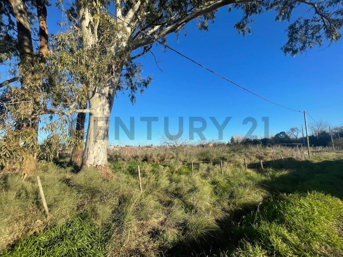 Terreno lote en venta Parque Sicardi La Plata — foto 1