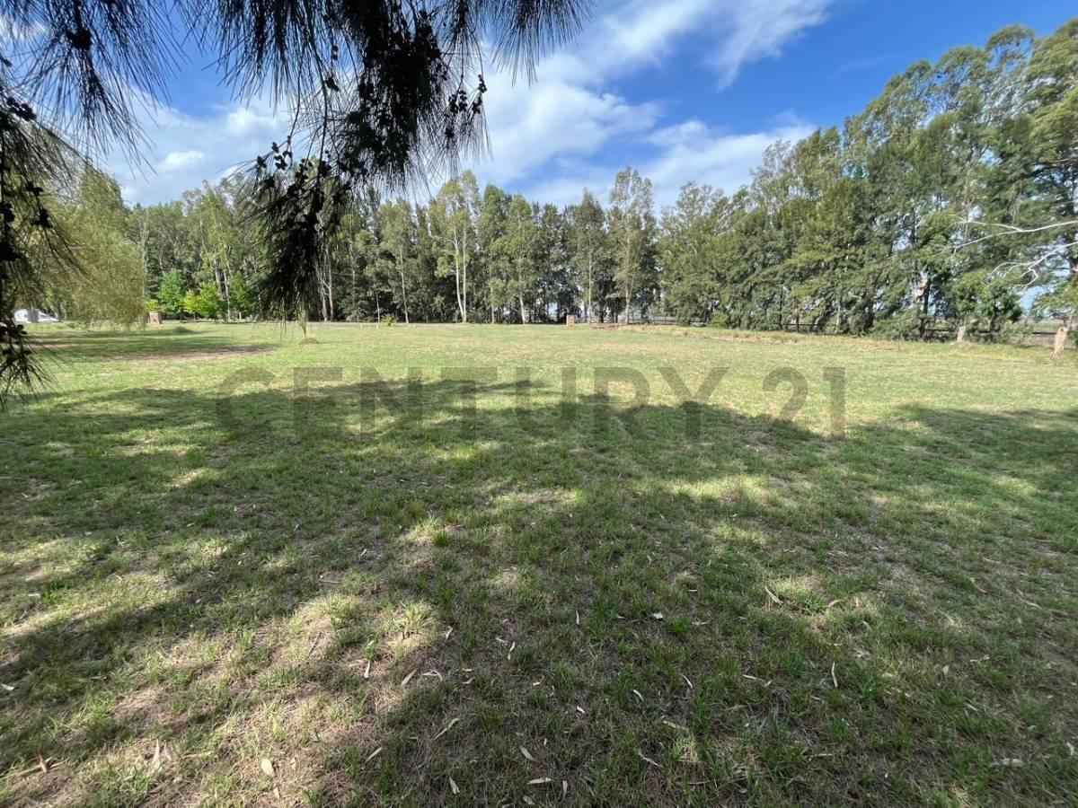 LOTE EN VENTA EN MIRALAGOS 1 — foto 1