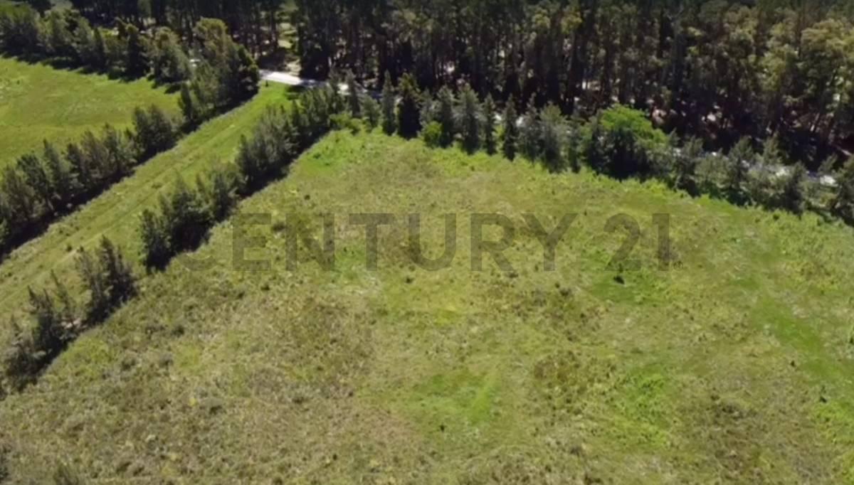 Lote en Veronica/Punta Indio en venta — foto 1