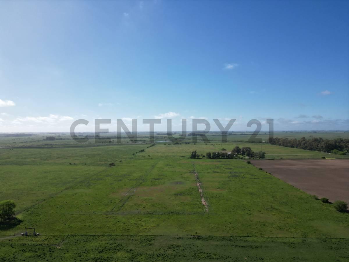 Campo de 14 hectáreas | Ignacio Correas 22 y 699 — foto 1