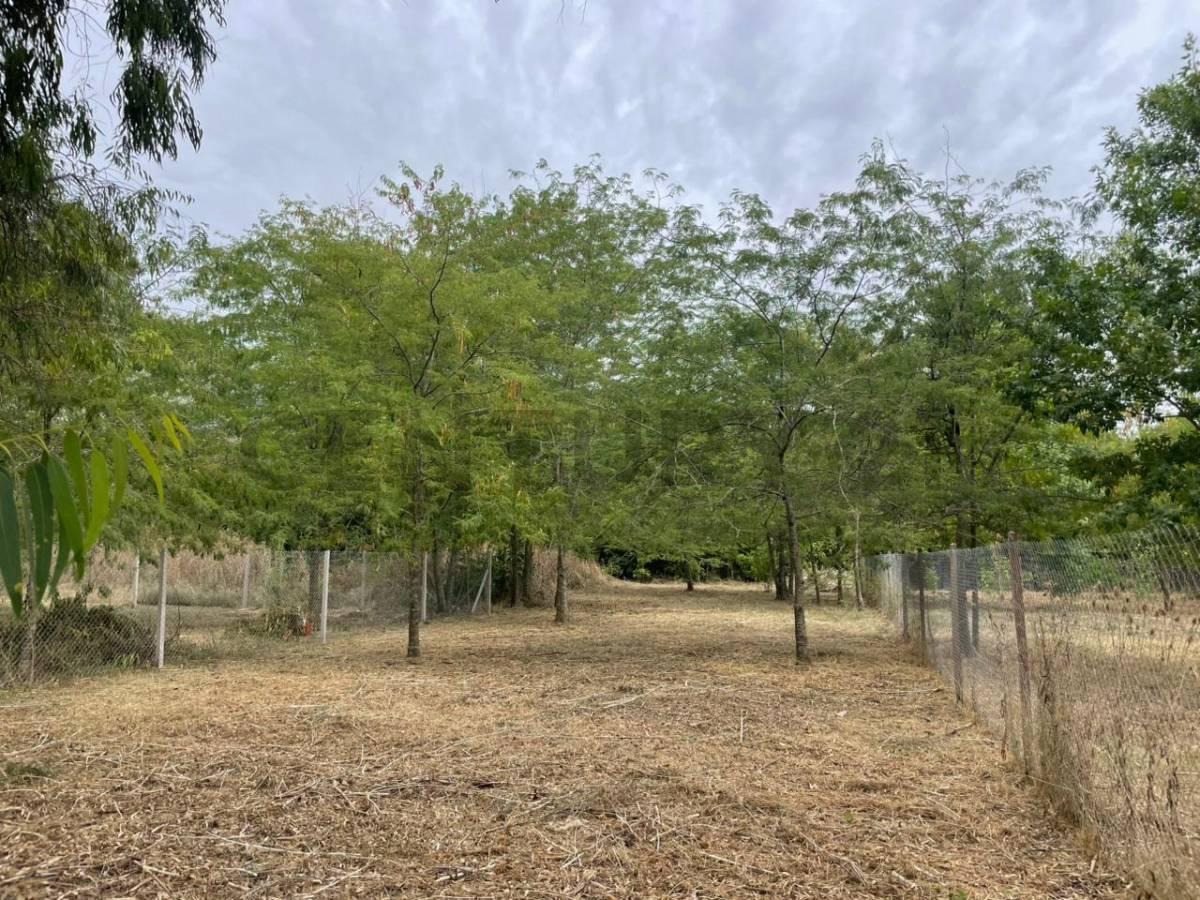 Calle 646 e/ 20 y 22 - A pocos metros del asfalto - Lote en Arana — foto 1