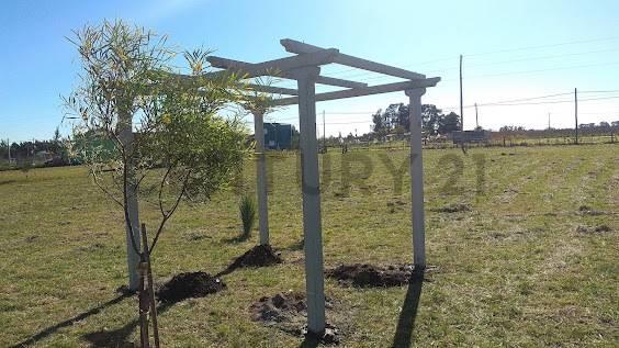 141 e/ 639 y 641 | Lote - Tereno | Venta | Arana, La Plata — foto 1