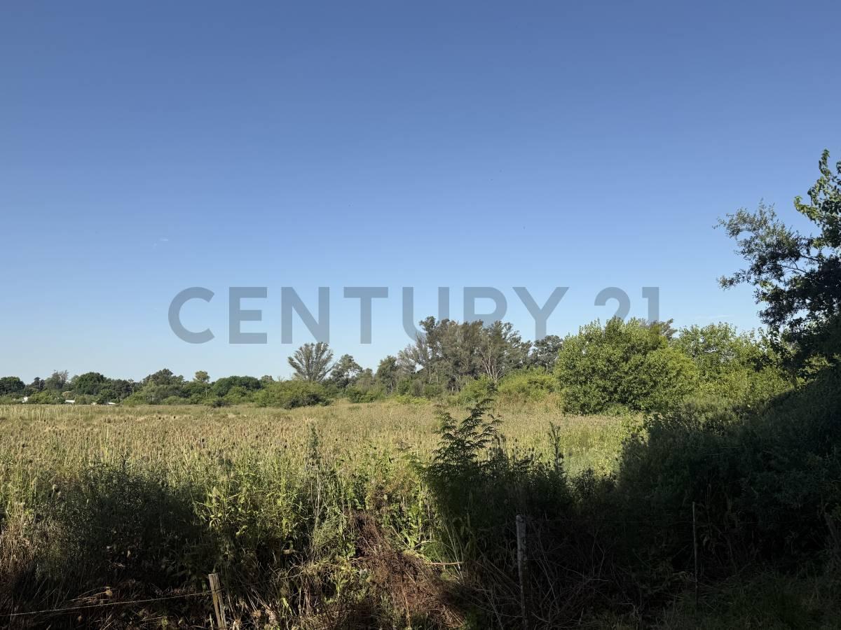 LOTE EN ARTURO SEGUI CALLE 137 E/ 419 Y 420 EN VENTA — foto 1