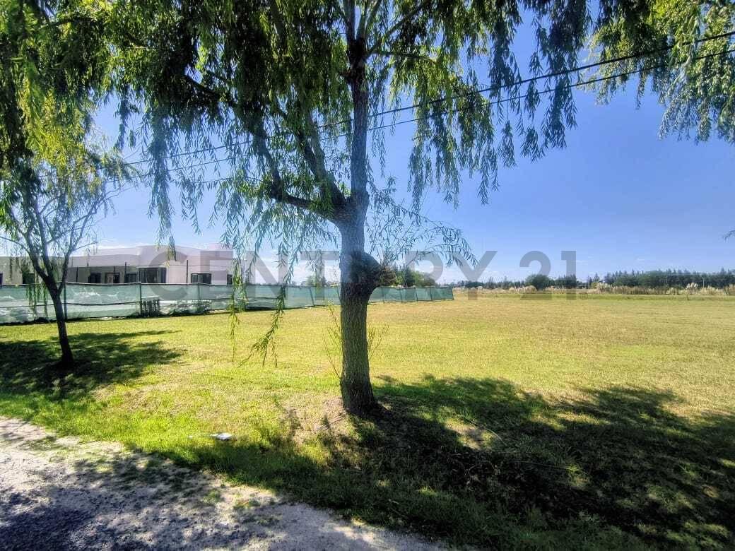 Brandsen ruta 2 Campo de roca ll - Lote N° en venta — foto 1