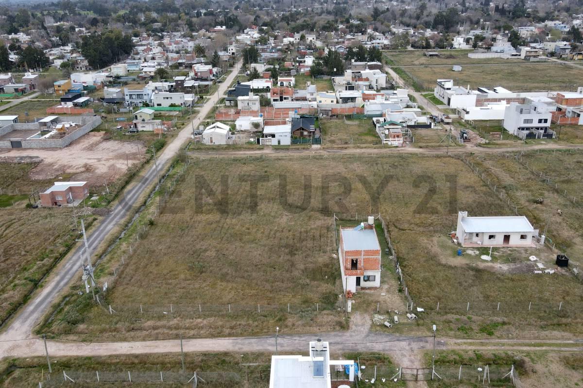 Imagen 1