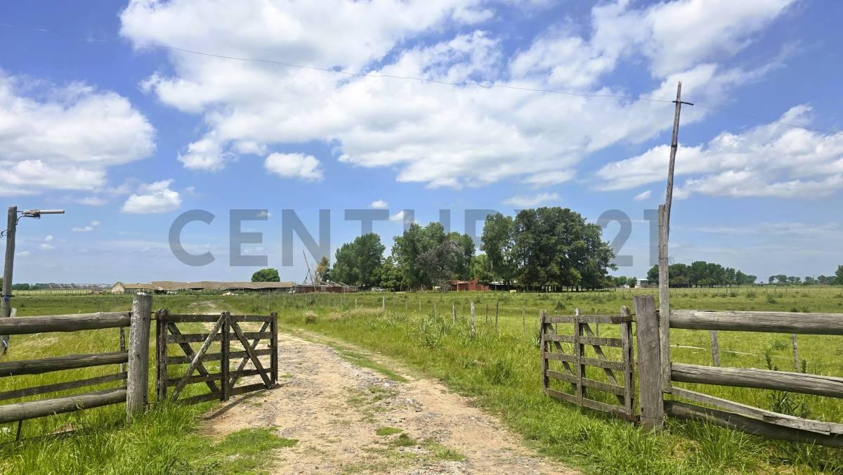 Venta Campo con mejoras en Ruta 24 y Ruta 6 General Rodriguez — foto 1