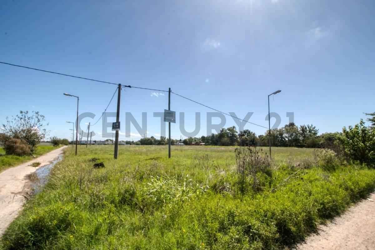 Terreno en Venta en Hernández — foto 1