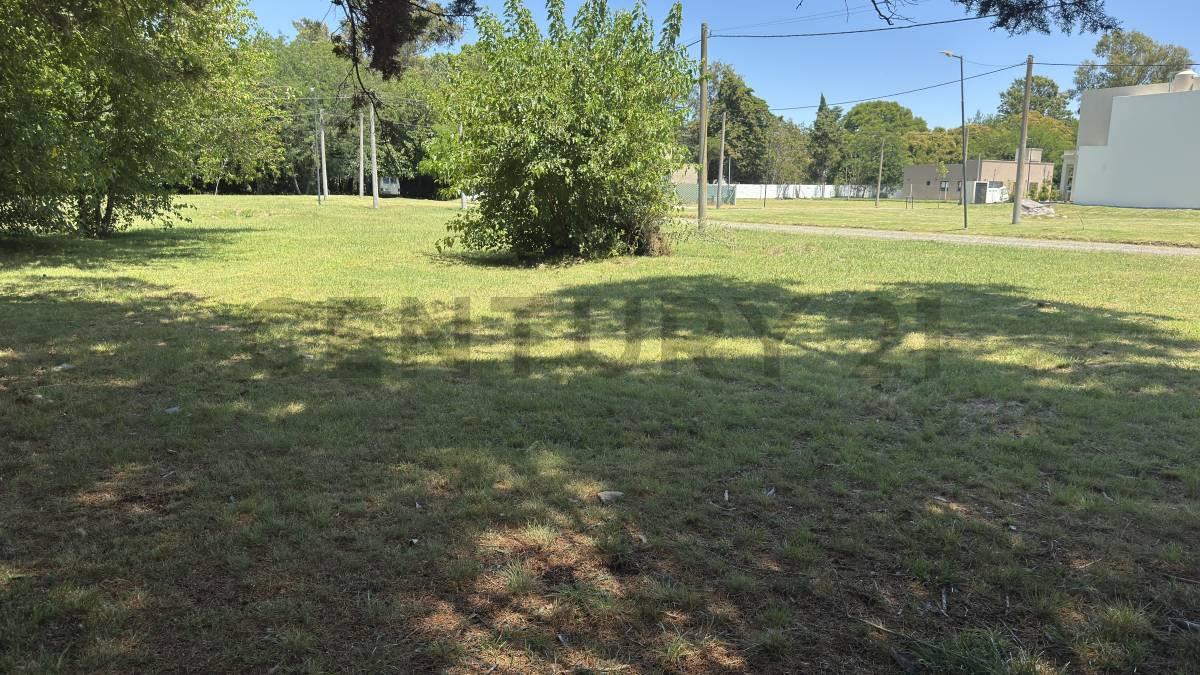 Terrenos en venta barrio cerrado Las Alondras,Villa Elisa — foto 1