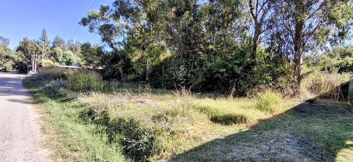 Venta de lote en Sicardi 300 mts2 — foto 1