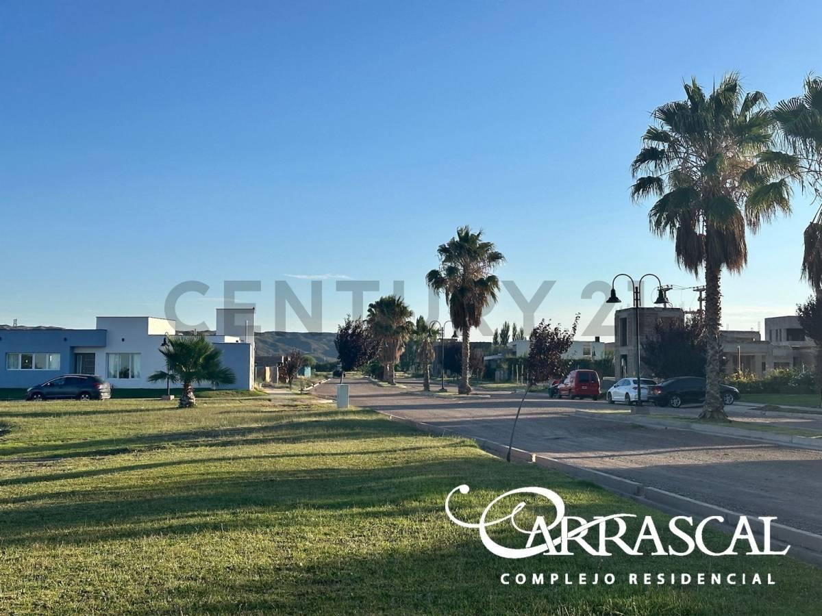 LOTE EN VENTA COMPLEJO RESIDENCIAL CARRASCAL — foto 1