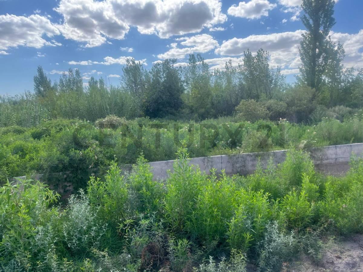 FINCA EN VENTA EN COSTA DE ARAUJO (LAVALLE) — foto 1