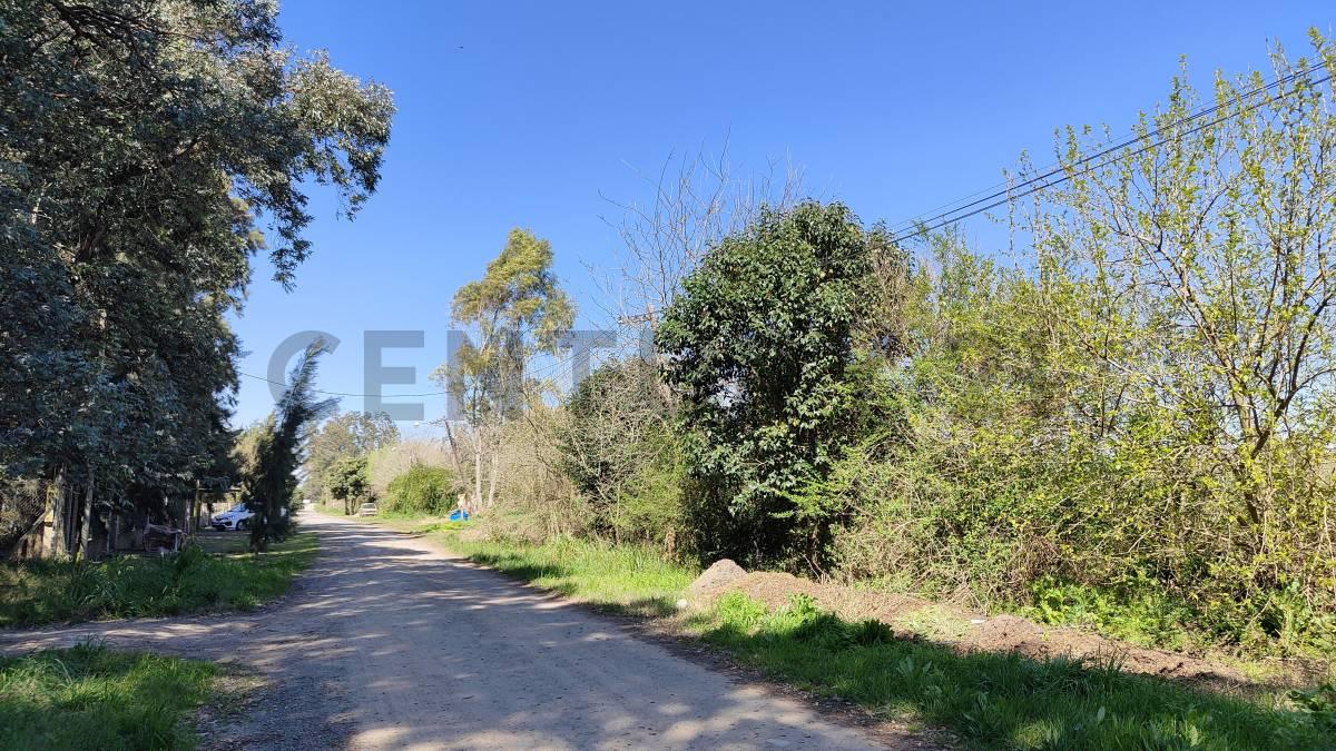 TERRENO / CAMPO 2,2 HECTAREAS EN VENTA. ARANA — foto 1