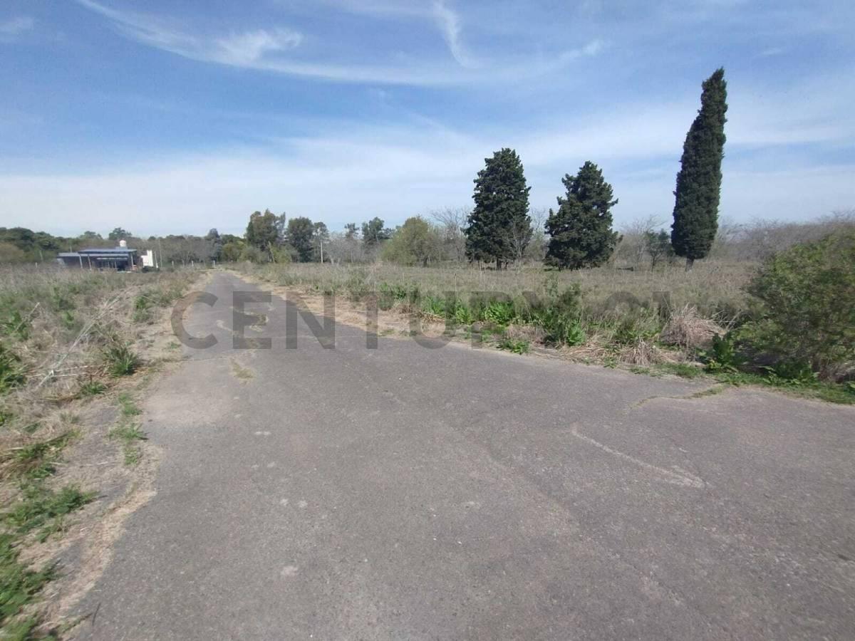 VENTA LOTE EN ABASTO - ESTANCIA CHICA — foto 1