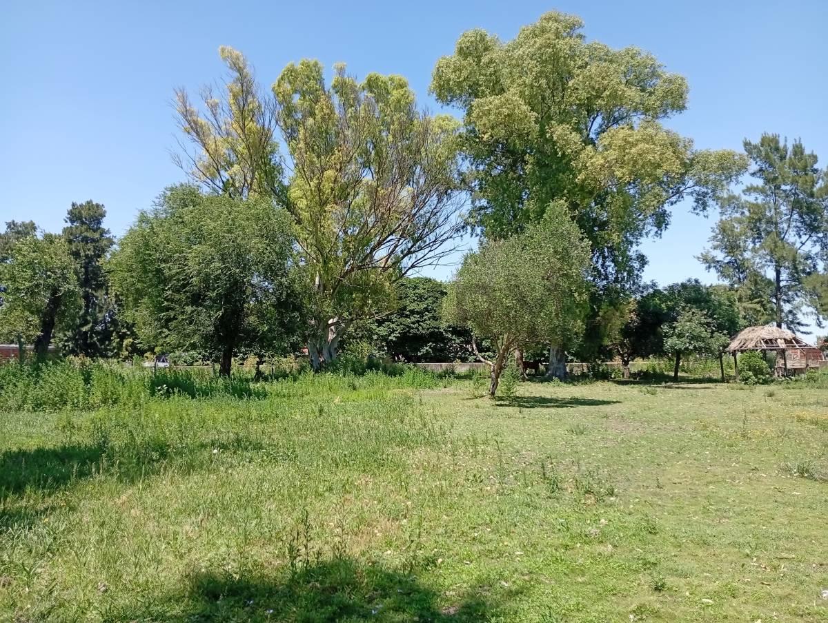 139 ENTRE 524 Y 525 - TERRENO EN VENTA DE 3597M2. SAN CARLOS, LA PLATA. — foto 1