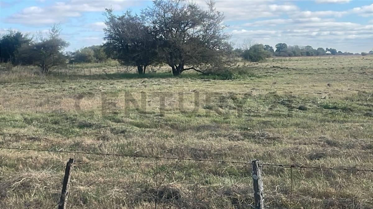 VENTA DE CAMPO APTO PARA MÚLTIPLES USOS — foto 1
