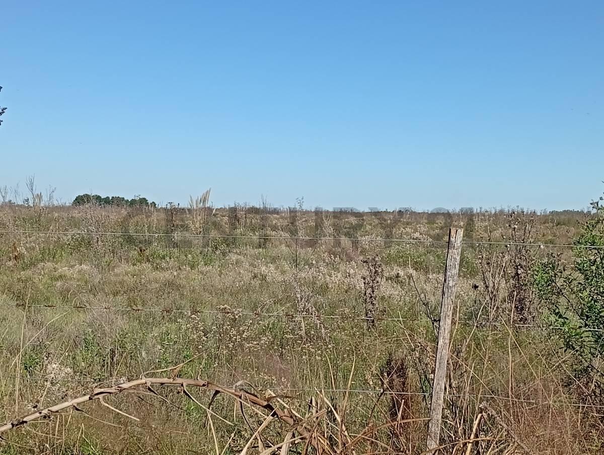 Campo/Fracción en General Rodríguez VENTA en block o en lotes. Desarrollo Inmobiliario. — foto 1