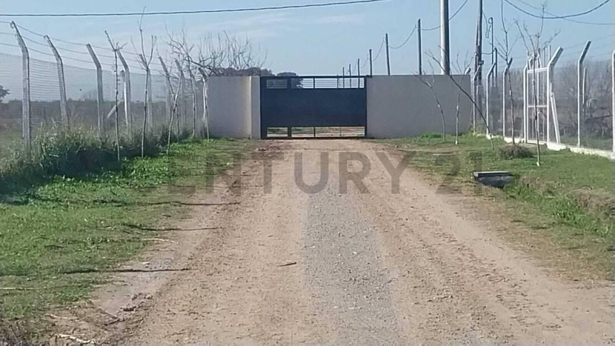 645 129 Y 130 Lote en venta. Barrio La Hermosura. La Plata — foto 1