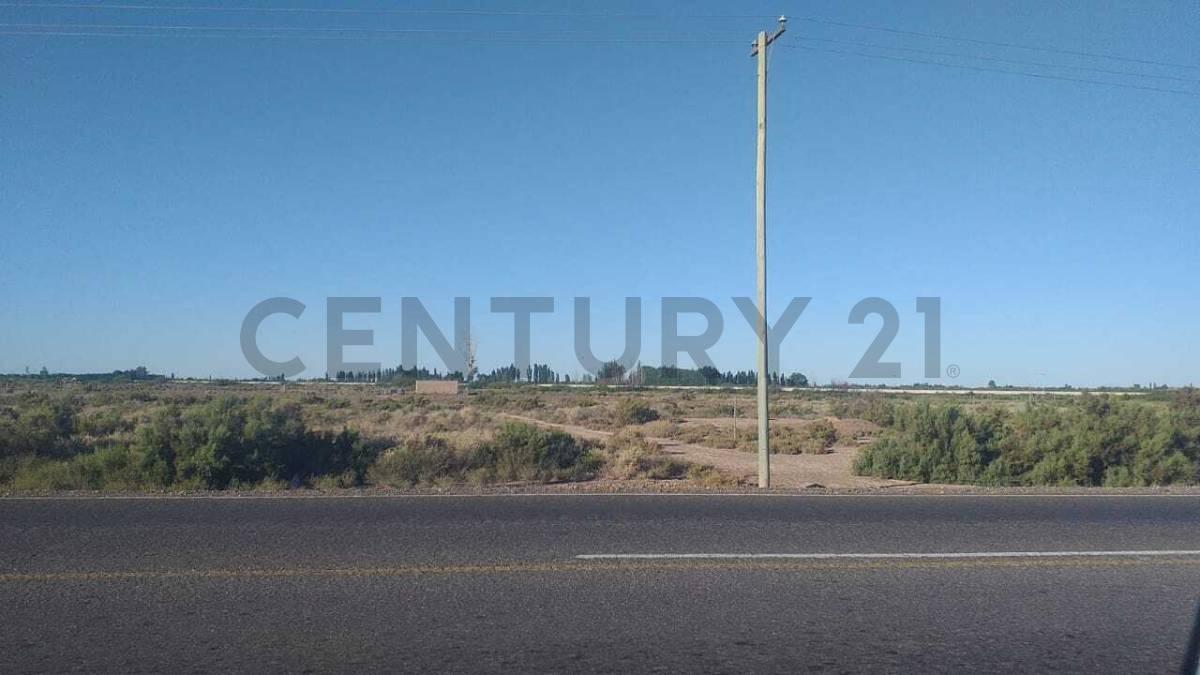 Lote de 1.020 m² sobre Ruta 34 – Costa de Araujo, Mendoza — foto 1