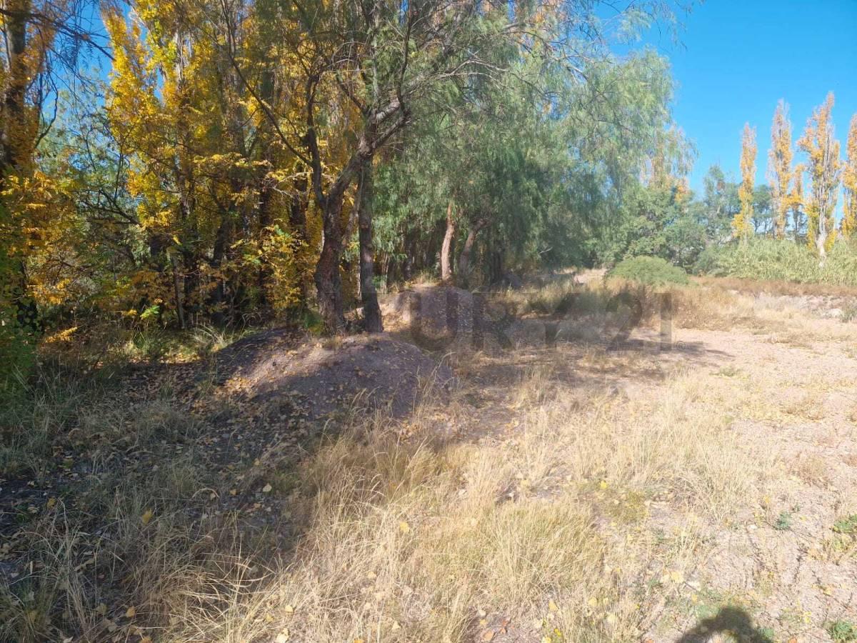 VENTA TERRENO SAN RAFAEL — foto 1