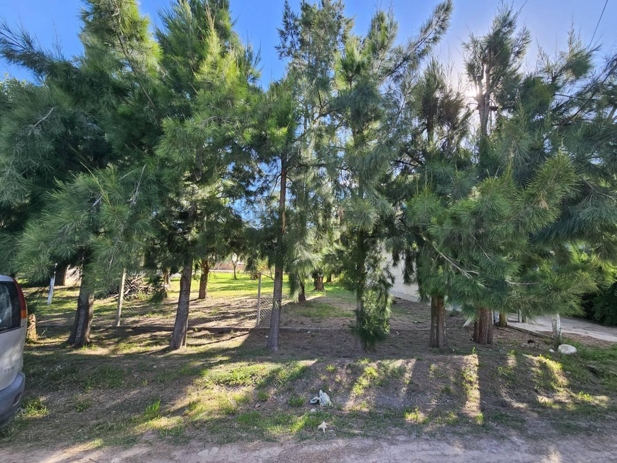 Lote en Venta en Parque Sicardi — foto 1