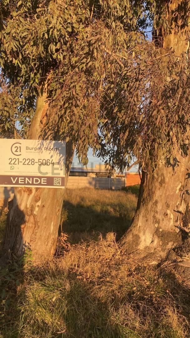 Lote en venta en La Plata — foto 1