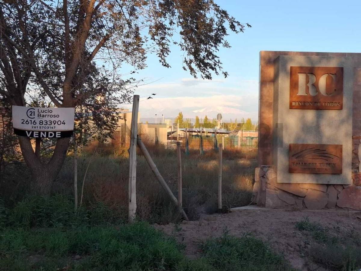 TERRENO EN VENTA EN PERDRIEL, LUJÁN DE CUYO — foto 1