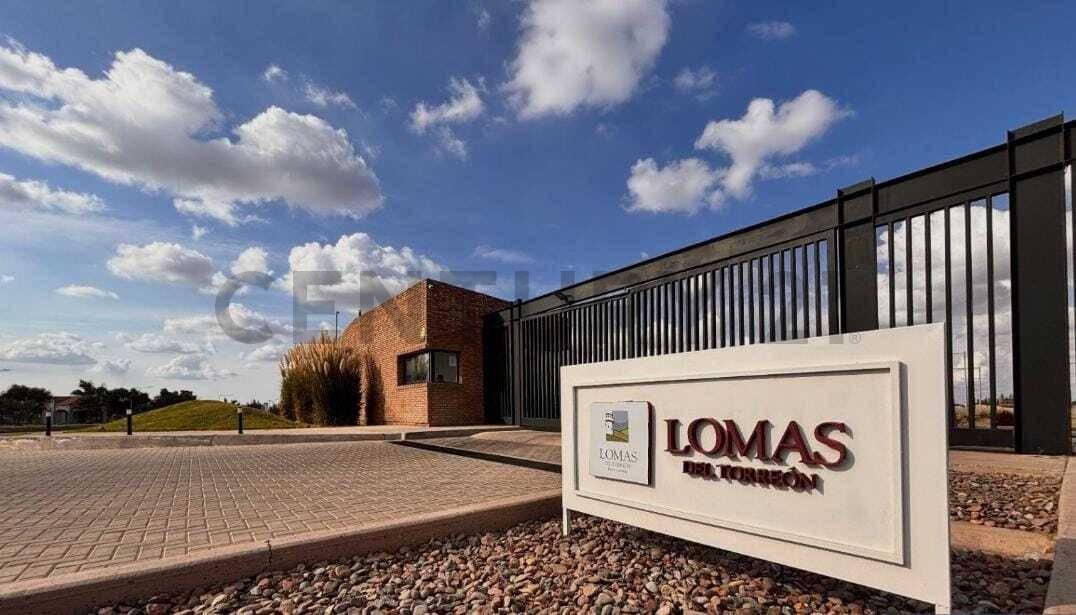 VENTA LOTE BARRIO LOMAS DEL TORREON — foto 1