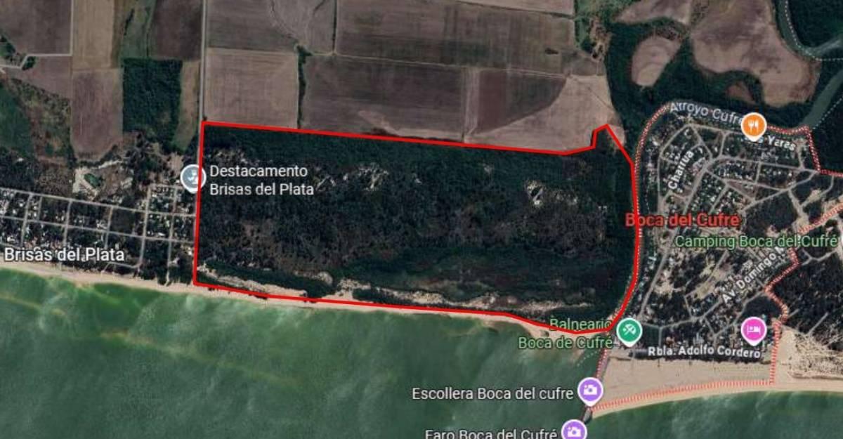 CAMPO CON ACCESO A PLAYA- frente a costa del Río de la Plata — foto 1