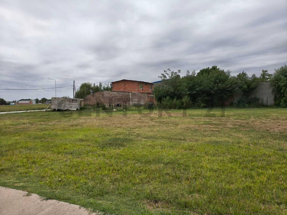 VENTA 5 TERRENOS JUNTOS TIMBUES — foto 1