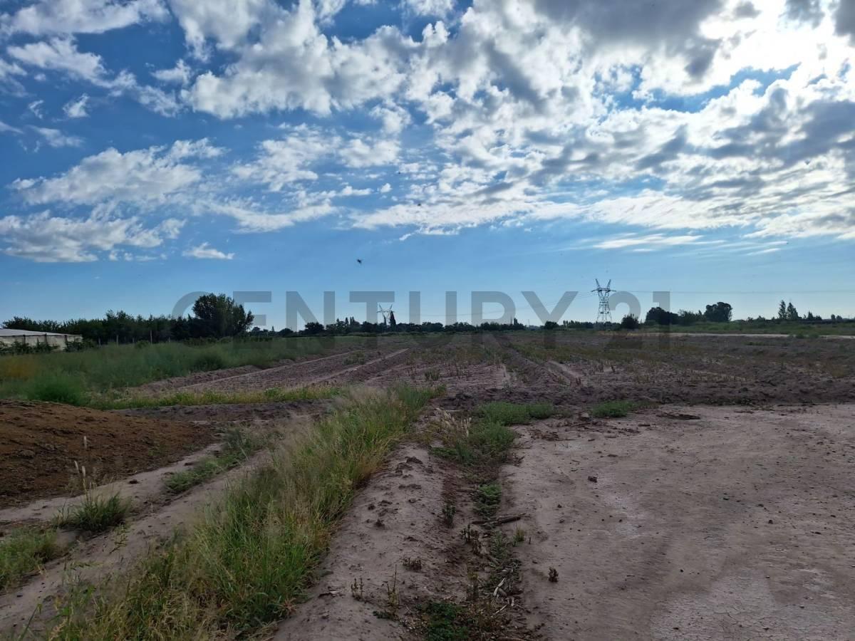 VENTA TERRENO 2 HECTAREAS EN GUAYMALLEN - IDEAL LOTEO O FINCA — foto 1