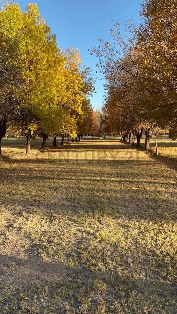 Terreno Lujan de Cuyo — foto 1