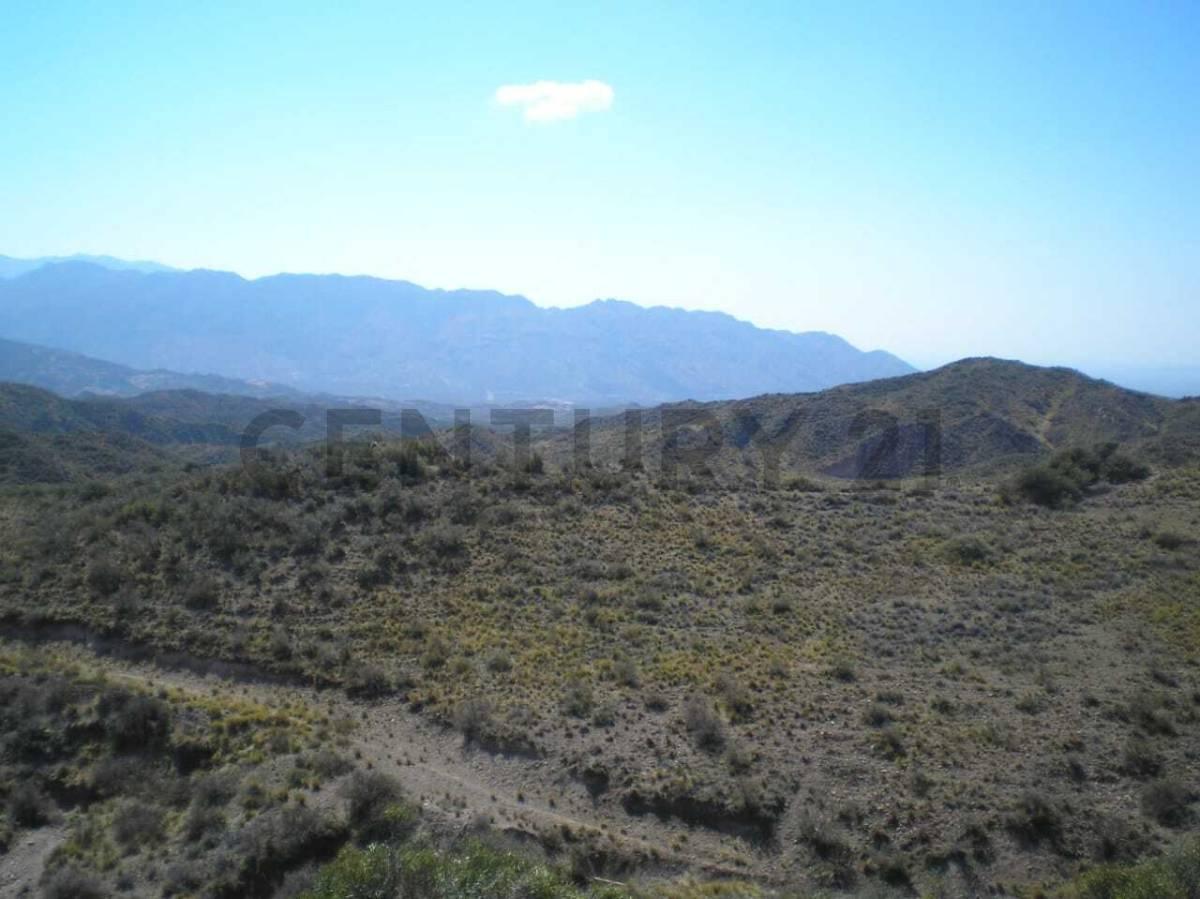 TERRENO EN VENTA 1 HA RUTA 7 S/N LUJAN DE CUYO — foto 1