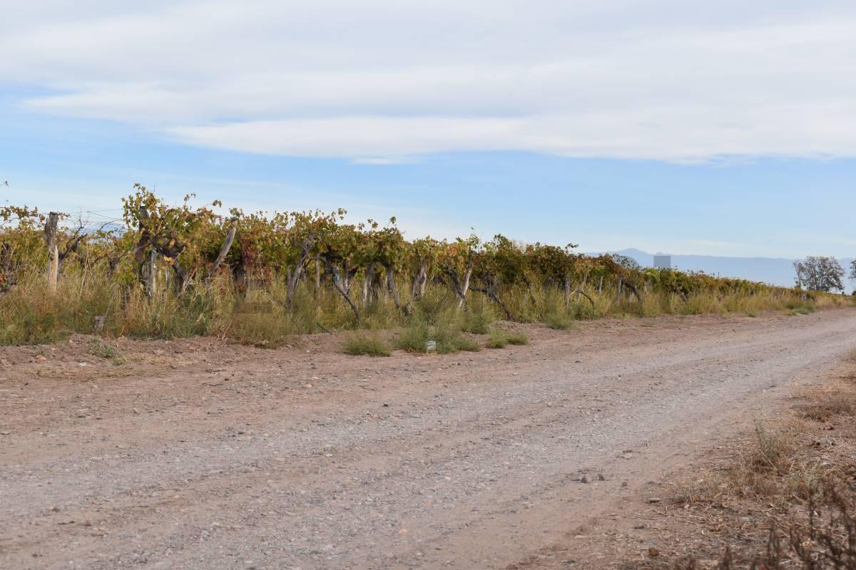 FINCA A LA VENTA SAN MARTIN — foto 1