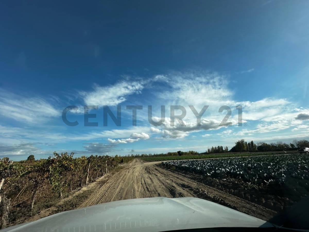 FINCA EN CHAPANAY SAN MARTIN — foto 1
