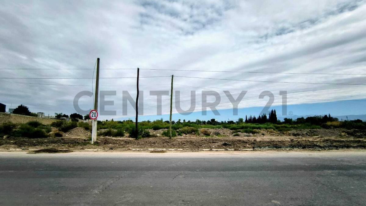 Venta de Terreno en Rodeo de la Cruz. — foto 1