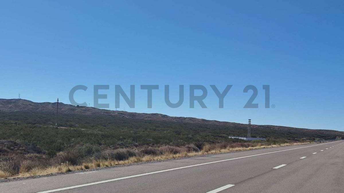 VENTA TERRENO RUTA NACIONAL 7 VARIANTE PALMIRA (LUJAN DE CUYO). — foto 1