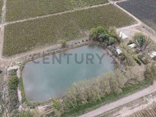 VENTA Fincas Montecaseros, San Martín, Mendoza". — foto 1