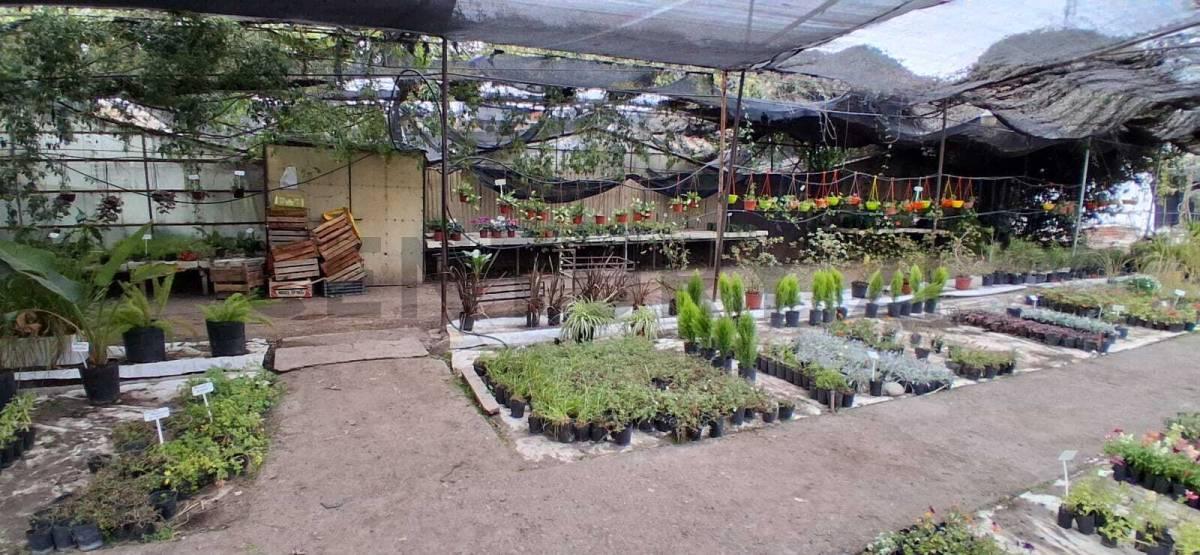 VENTA DE EXCELENTE TERRENO CON INFRAESTRUCTURA PARA INVERSIONISTAS — foto 1