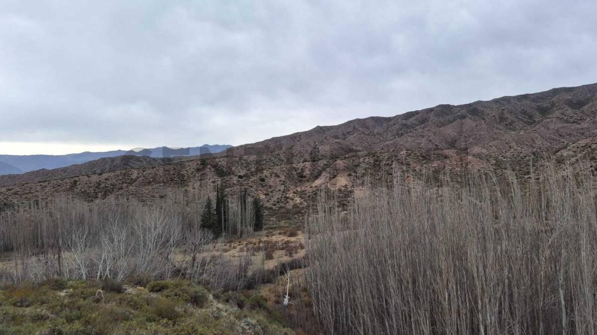 TERRENO EN VENTA LAS VEGAS, POTRERILLOS, MENDOZA — foto 1