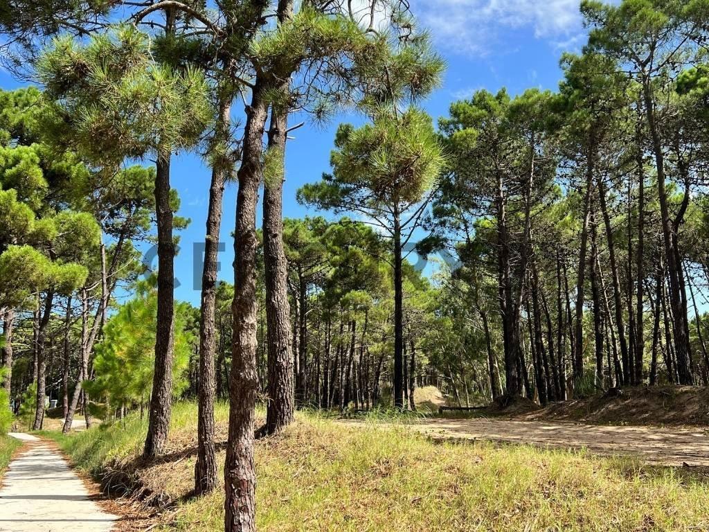Lote en Barrio Bosques Pinamar — foto 1