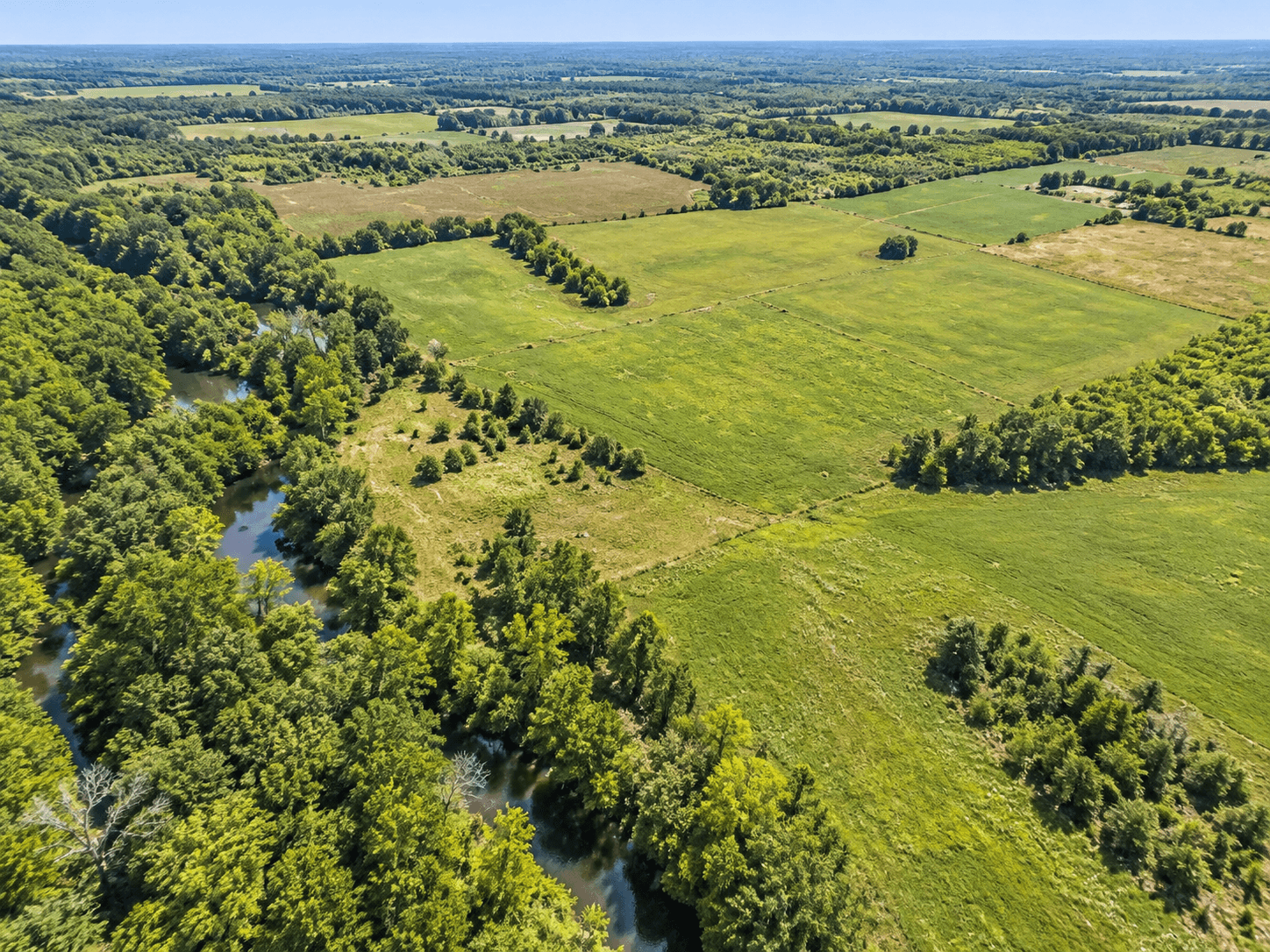 VENTA DE FRACCIONES DE CAMPO EN LOS CARDALES | DESDE 1 HECTÁREA — foto 1