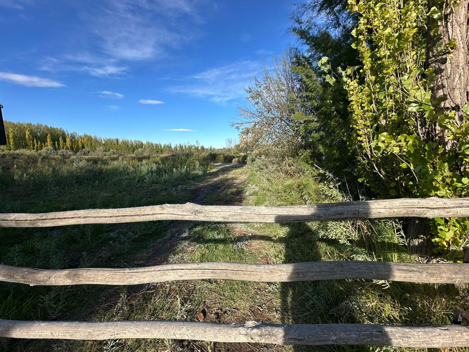 3 HECTAREAS EN BLANCO EN VENTA | LOCALIDAD DE CERVANTES — foto 1