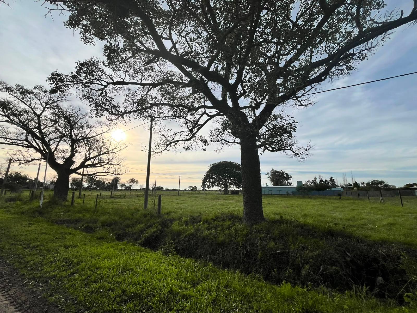 Terreno en esquina en Presidente Roca — foto 1