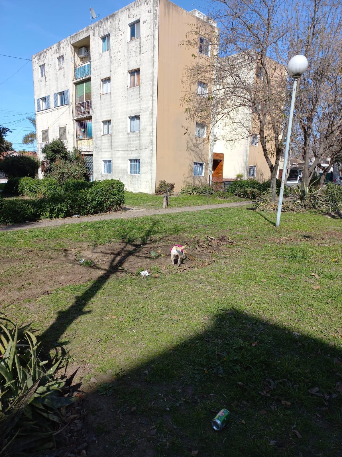 Imagen 1