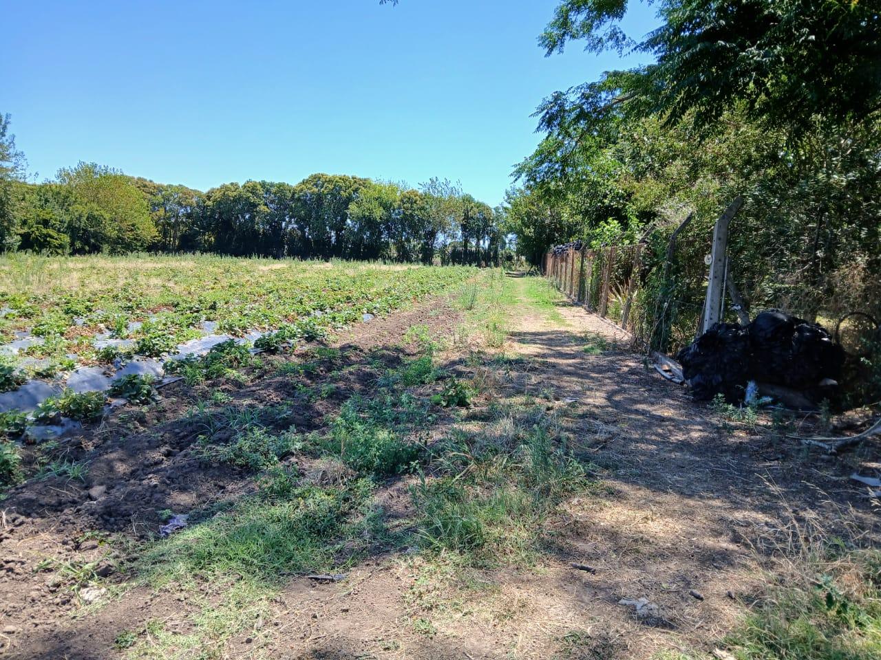 Terreno en venta en Villa Vatteone — foto 1