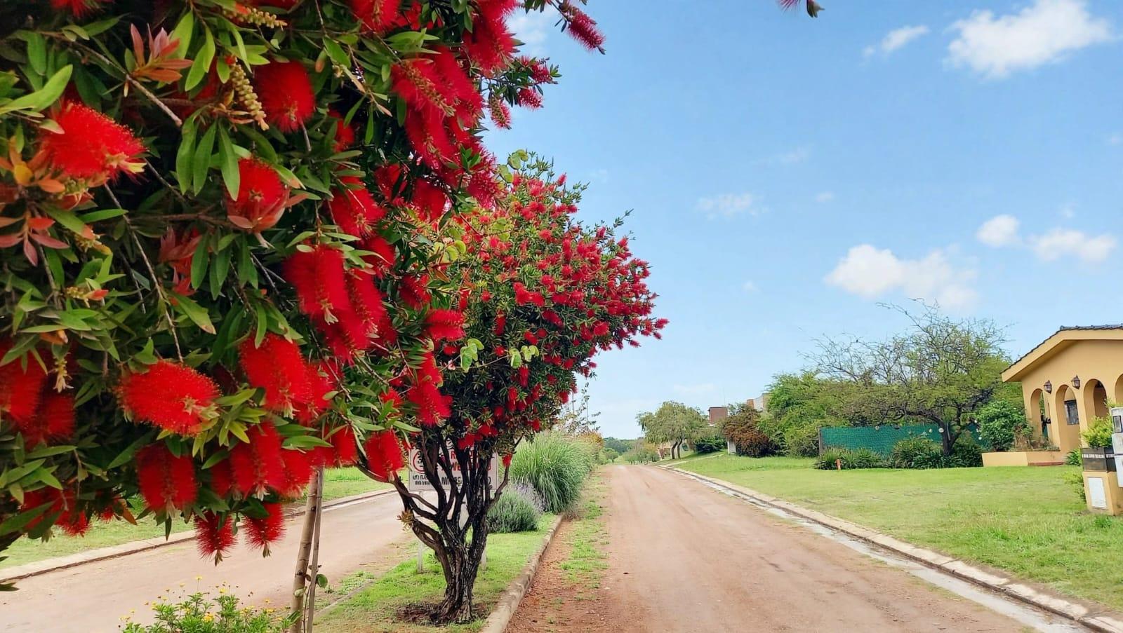Espectacular lote en Bela Vista Residencial. Río Ceballos — foto 1